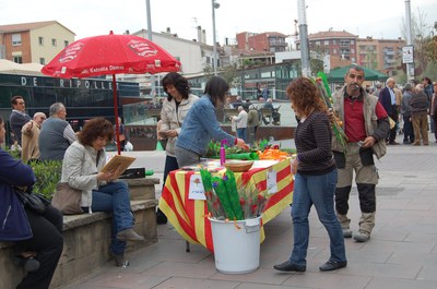 ripollet-cul-sant-jordi-lletres-locals-230410001.JPG