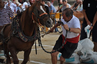 ripollet-cul-fm-exhibicio-arrossegament-290810.jpg