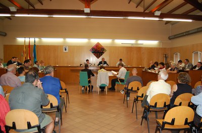 Acords del Ple Municipal del 30 de setembre de 2010.