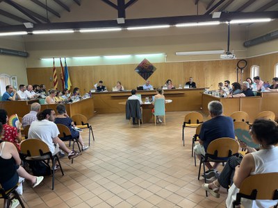 S'aprova l'organització i despesa dels electes de l'Ajuntament.